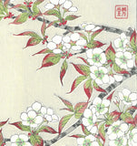 Kawarazaki Shodo - F017 Sakura (Wild cherry) - Free Shipping