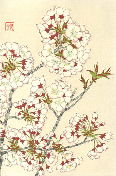 Kawarazaki Shodo - F019 Sakura (Cherry Blossoms