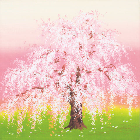 Nihon no shiki - Spring Sakura 春 (Japanese Wrapping Cloth)