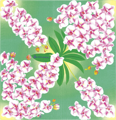 Asayama Misato - Kochoran (Phalaenopsis orchid)  50 x 50 cm Furoshiki (Japanese Wrapping Cloth)