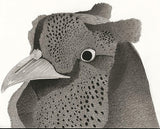 Kotozuka Kichitaro  琴塚吉太朗 - Japanese Green Pheasant  ニホンキジ - High-Fidelity Fine Art Reproduction  - Free Shipping　