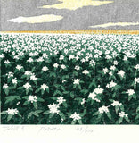 Namiki Hajime 並木一 -  Hill－３Potato 　(ED200) -  Free Shipping