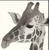 Kotozuka Kichitaro  琴塚吉太朗 - Giraffe 　キリン - High-Fidelity Fine Art Reproduction  - Free Shipping　
