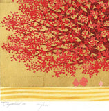 Namiki Hajime 並木一 - Dogwood 11 ハナミズキ　 (ED200) -  Free Shipping