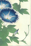 Kawarazaki Shodo - F60 Asagao (Morning glory) - Free Shipping