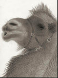 Kotozuka Kichitaro  琴塚吉太朗 - Two-breasted camel  フタコブラクダ  - High-Fidelity Fine Art Reproduction  - Free Shipping　