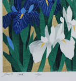 Namiki Hajime 並木一 - iris79  　(ED200) -  Free Shipping