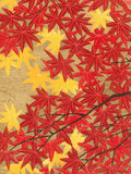Namiki Hajime 並木一 -  momiji-4　(ED300) -  Free Shipping