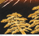 Namiki Hajime 並木一 -  Fuji17 　(ED200) -  Free Shipping