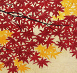 Namiki Hajime 並木一 - momiji-5 (ED300) -  Free Shipping