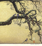 Yoshida Toshi - #015106 Jyuzu kake no Ume (Plum tree ＆ Blue Magpie)   吉田遠志 木版画  015106 数珠かけの梅 Plum tree ＆ Blue Magpie  - Free Shipping