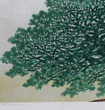 Namiki Hajime 並木一 - Tree Scnen 162  木の風景  (ED200) -  Free Shipping