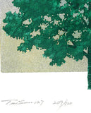 Namiki Hajime 並木一 -   Tree Scene 127　(ED300) -  Free Shipping