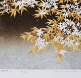 Namiki Hajime 並木一 - Sakura 7  (ED200) -  Free Shipping