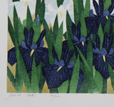 Namiki Hajime 並木一 - iris78  　(ED200) -  Free Shipping