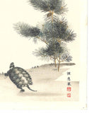 Maruyama Okyo - Wakamatsu ni Kamezu (Turtle and Young Pine Trees) 若松に亀図 - Free Shipping