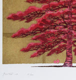 Namiki Hajime 並木一 -  Pine Tree1B　(ED200) -  Free Shipping