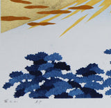 Namiki Hajime 並木一 -  Fuji19 　(ED300) -  Free Shipping