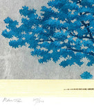 Namiki Hajime 並木一 -   BLUE TREE　(ED500) -  Free Shipping