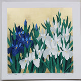 Namiki Hajime 並木一 - iris79  　(ED200) -  Free Shipping