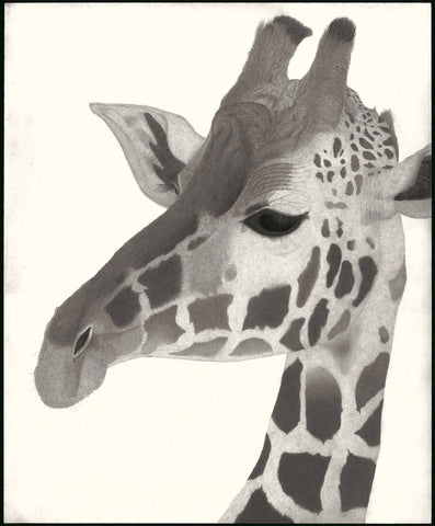 Kotozuka Kichitaro  琴塚吉太朗 - Giraffe 　キリン - High-Fidelity Fine Art Reproduction  - Free Shipping　