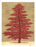 Namiki Hajime 並木一 -  Tree Scene 164A　(ED300) -  Free Shipping
