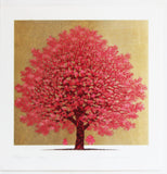 Namiki Hajime 並木一 -  Dogwood10　(ED200) -  Free Shipping