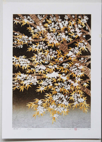 Namiki Hajime 並木一 - Sakura 7  (ED200) -  Free Shipping