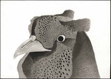 Kotozuka Kichitaro  琴塚吉太朗 - Japanese Green Pheasant  ニホンキジ - High-Fidelity Fine Art Reproduction  - Free Shipping　