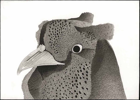 Kotozuka Kichitaro  琴塚吉太朗 - Japanese Green Pheasant  ニホンキジ - High-Fidelity Fine Art Reproduction  - Free Shipping　