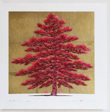 Namiki Hajime 並木一 -  Pine Tree1B　(ED200) -  Free Shipping