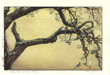 Yoshida Toshi - #015106 Jyuzu kake no Ume (Plum tree ＆ Blue Magpie)   吉田遠志 木版画  015106 数珠かけの梅 Plum tree ＆ Blue Magpie  - Free Shipping