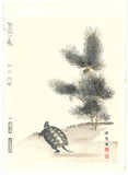 Maruyama Okyo - Wakamatsu ni Kamezu (Turtle and Young Pine Trees) 若松に亀図 - Free Shipping