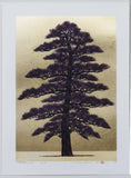 Namiki Hajime 並木一 -  Tree Scenen 163　(ED300) -  Free Shipping