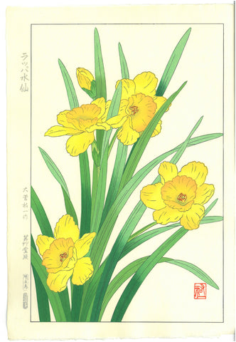 Osuga Yuichi - Rappa Suisen (Daffodil) - Free Shipping