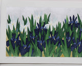 Namiki Hajime 並木一 - iris78  　(ED200) -  Free Shipping