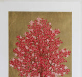 Namiki Hajime 並木一 -  Magnolia 3　(ED200) -  Free Shipping