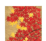 Namiki Hajime 並木一 -  momiji-4　(ED300) -  Free Shipping