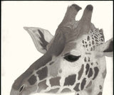 Kotozuka Kichitaro  琴塚吉太朗 - Giraffe 　キリン - High-Fidelity Fine Art Reproduction  - Free Shipping　