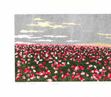 Namiki Hajime 並木一 -   Hill－２ Poppy 　(ED200) -  Free Shipping