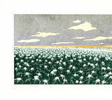 Namiki Hajime 並木一 -  Hill－３Potato 　(ED200) -  Free Shipping