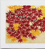 Namiki Hajime 並木一 - momiji-5 (ED300) -  Free Shipping