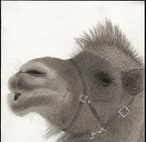 Kotozuka Kichitaro  琴塚吉太朗 - Two-breasted camel  フタコブラクダ  - High-Fidelity Fine Art Reproduction  - Free Shipping　