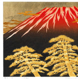 Namiki Hajime 並木一 -  Fuji17 　(ED200) -  Free Shipping