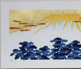 Namiki Hajime 並木一 -  Fuji19 　(ED300) -  Free Shipping