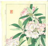 Osuga Yuichi - Shakunage  (Rhododendron) - Free Shipping