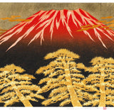 Namiki Hajime 並木一 -  Fuji17 　(ED200) -  Free Shipping