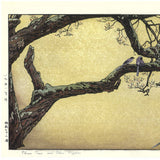 Yoshida Toshi - #015106 Jyuzu kake no Ume (Plum tree ＆ Blue Magpie)   吉田遠志 木版画  015106 数珠かけの梅 Plum tree ＆ Blue Magpie  - Free Shipping