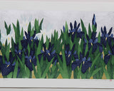 Namiki Hajime 並木一 - iris78  　(ED200) -  Free Shipping