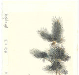 Maruyama Okyo - Wakamatsu ni Kamezu (Turtle and Young Pine Trees) 若松に亀図 - Free Shipping